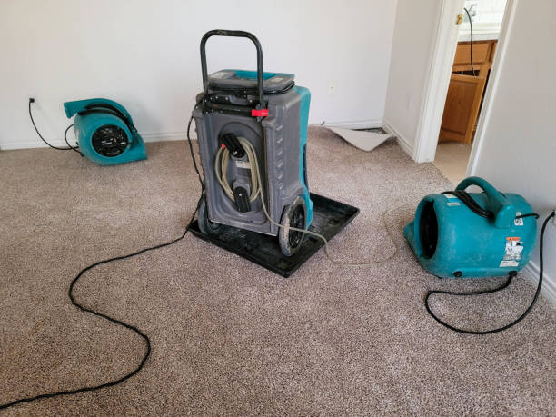 Best Water damage contractors near me  in Greeley, CO