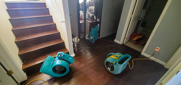 Best Emergency water damage restoration  in Greeley, CO