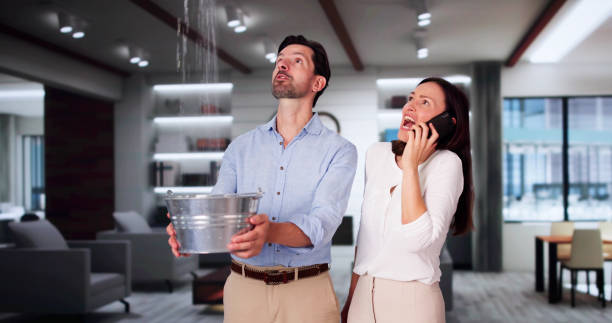Best Commercial water damage restoration  in Greeley, CO
