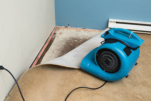 , CO Water damage restoration Company